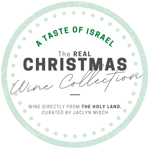 Jaclyn Taste of Israel Logo (Link to homepage)
