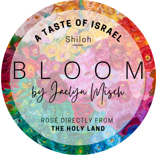 Jaclyn Taste of Israel Logo (Link to homepage)